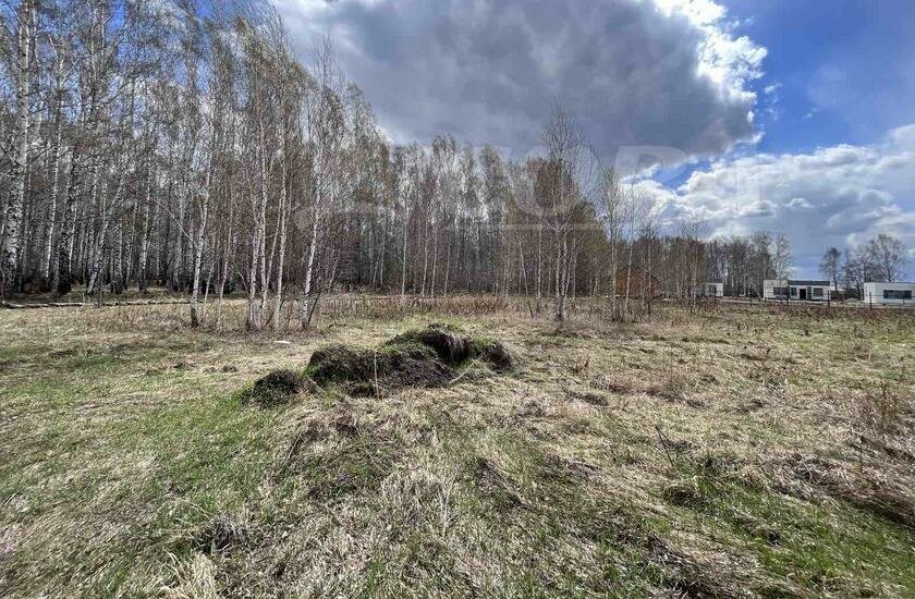 земля р-н Тюменский д Решетникова фото 2