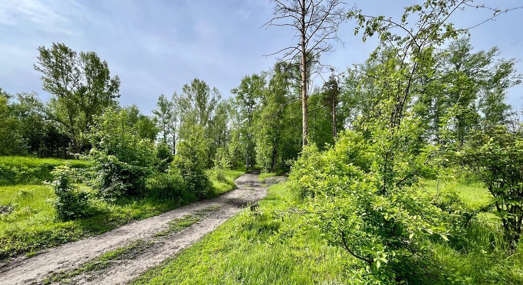 земля р-н Первомайский с Боровиха ул Садовая фото 5