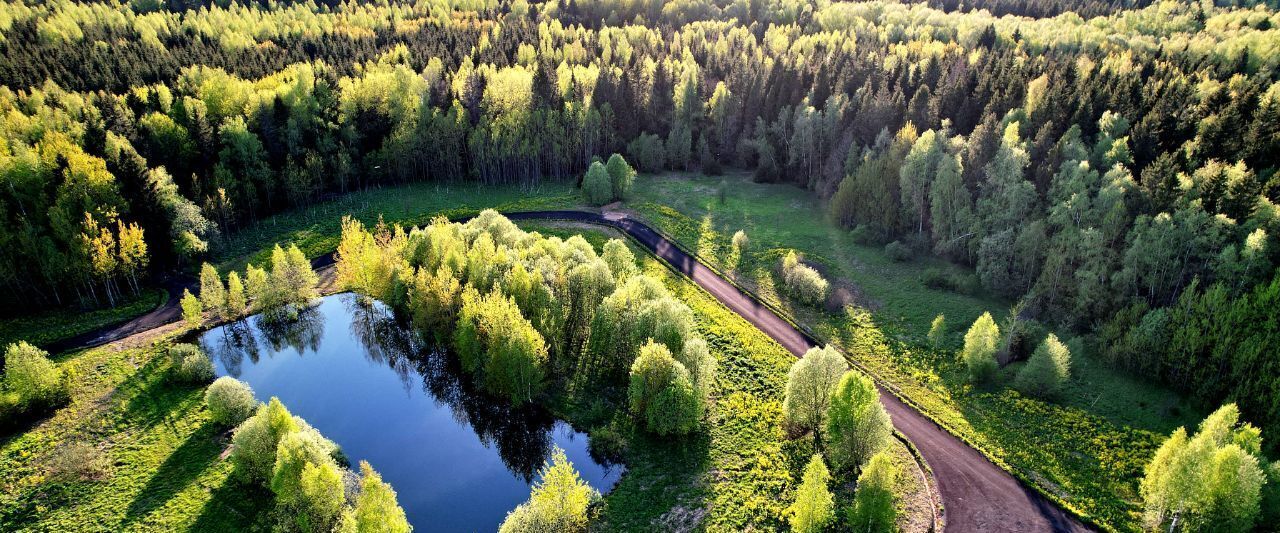 земля городской округ Дмитровский с Рогачево фото 3