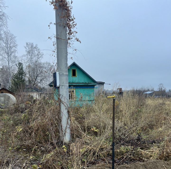 земля г Барнаул п Плодопитомник снт Алтайский садовод фото 3