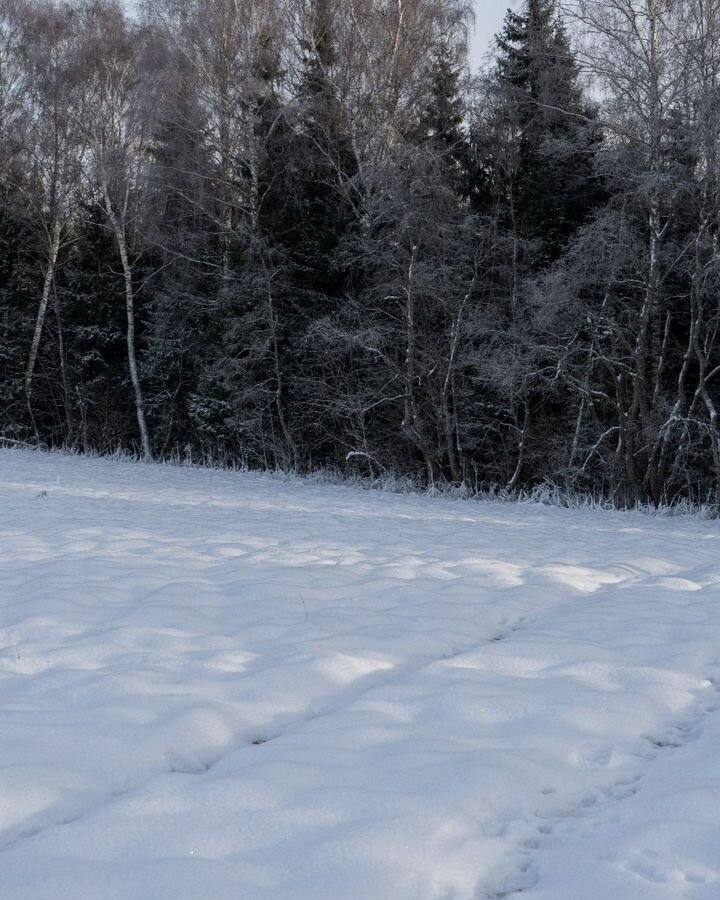 земля городской округ Шаховская с Белая Колпь ул Центральная 111 км, Новорижское шоссе фото 14