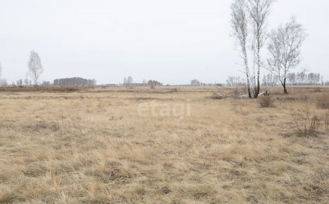 земля р-н Искитимский д Бурмистрово Бурмистровский сельсовет, Бердск фото 2