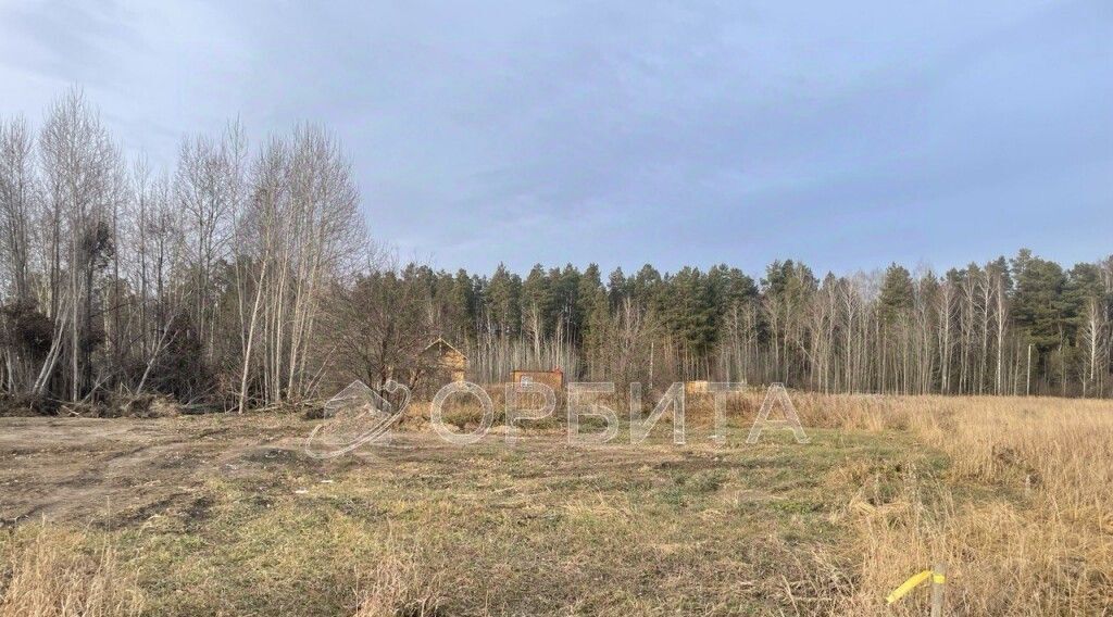 земля р-н Нижнетавдинский снт Геолог-2 фото 7