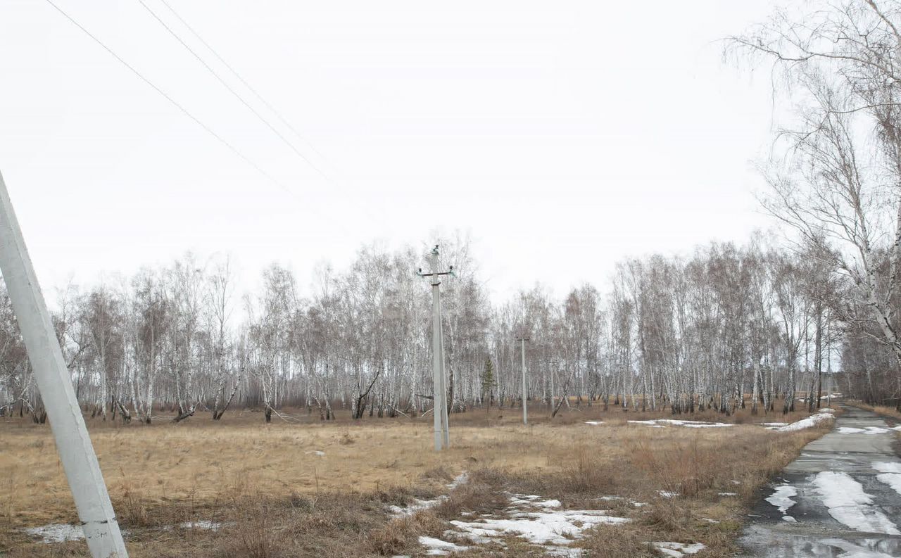 земля р-н Искитимский д Бурмистрово Бурмистровский сельсовет, Бердск фото 8