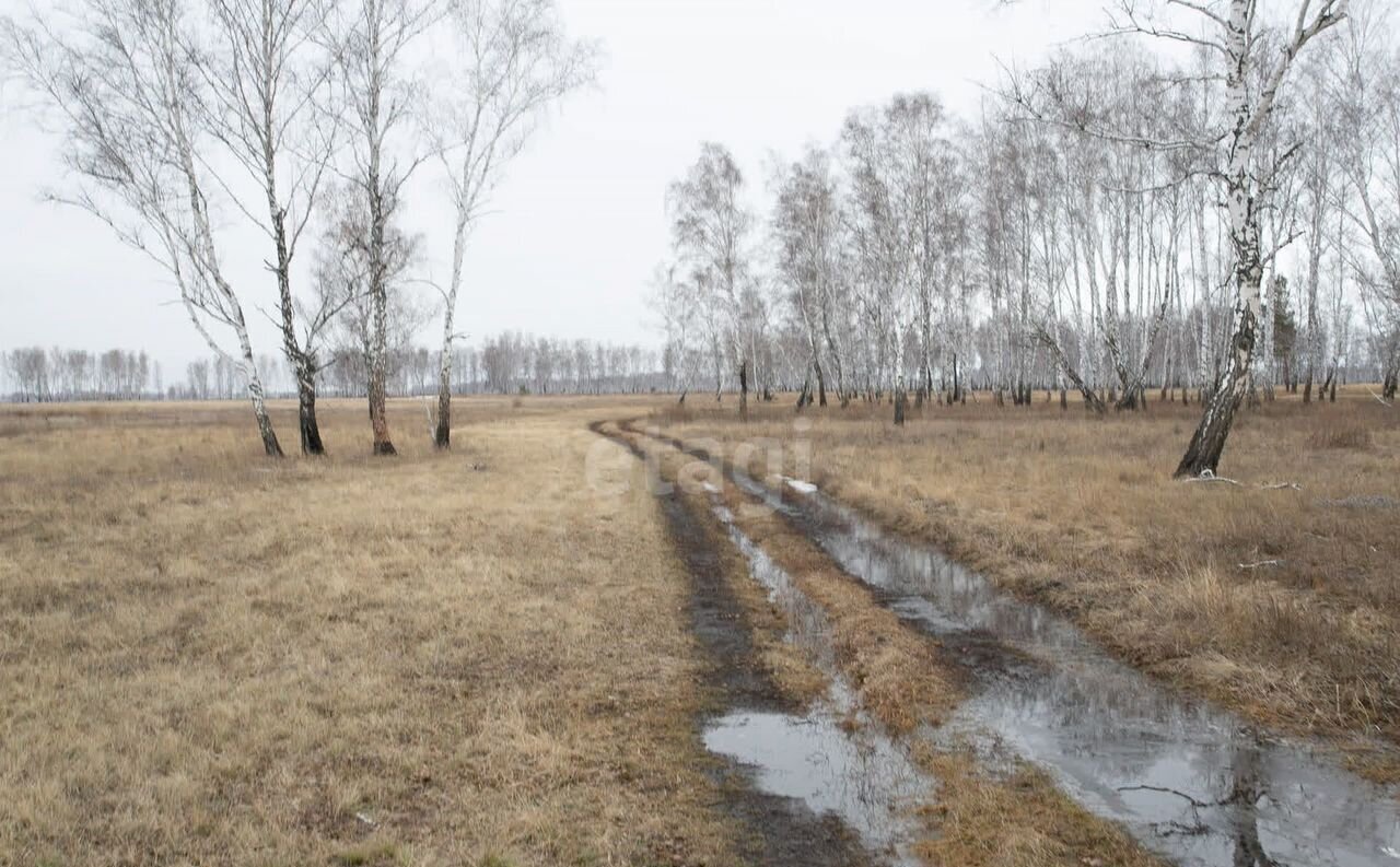 земля р-н Искитимский д Бурмистрово Бурмистровский сельсовет, Бердск фото 18