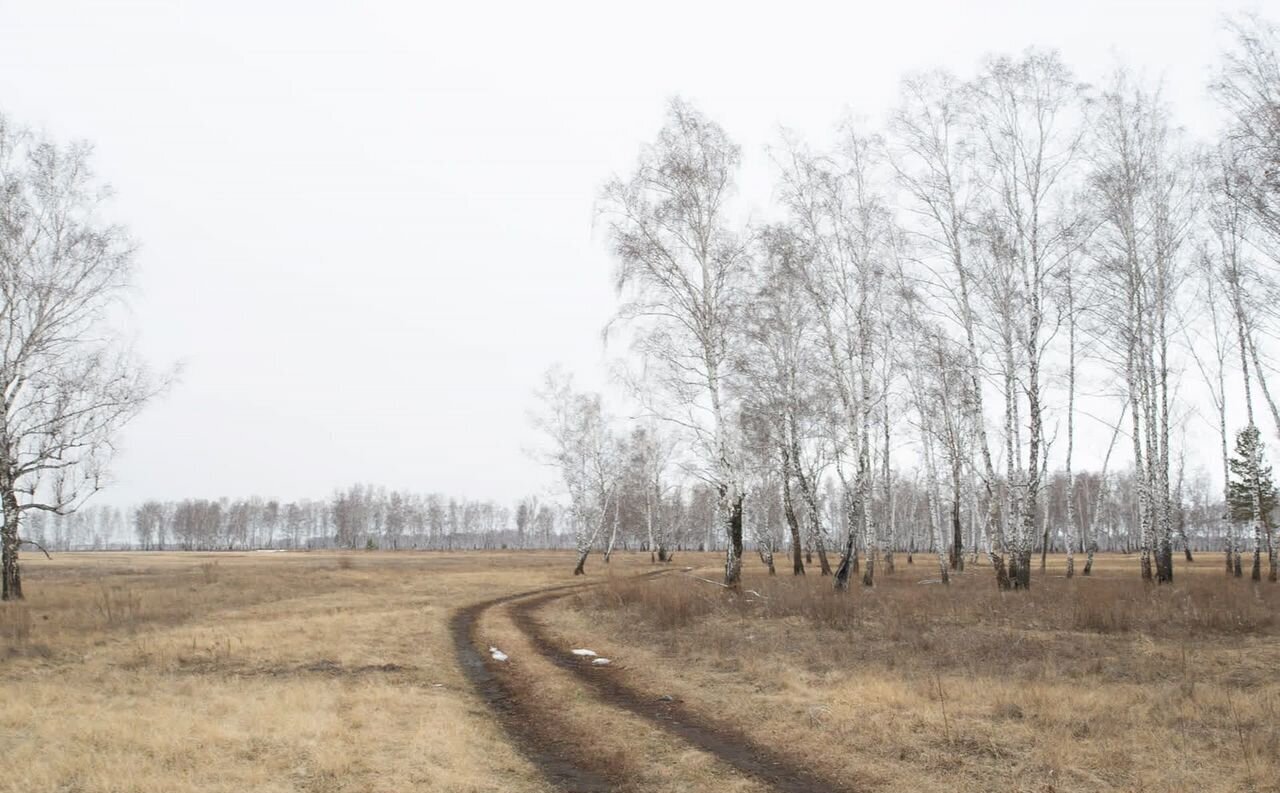 земля р-н Искитимский д Бурмистрово Бурмистровский сельсовет, Бердск фото 21