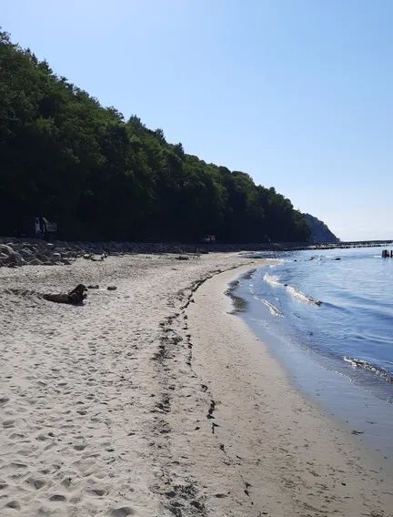 квартира р-н Светлогорский г Светлогорск ул Кленовая 2 фото 27