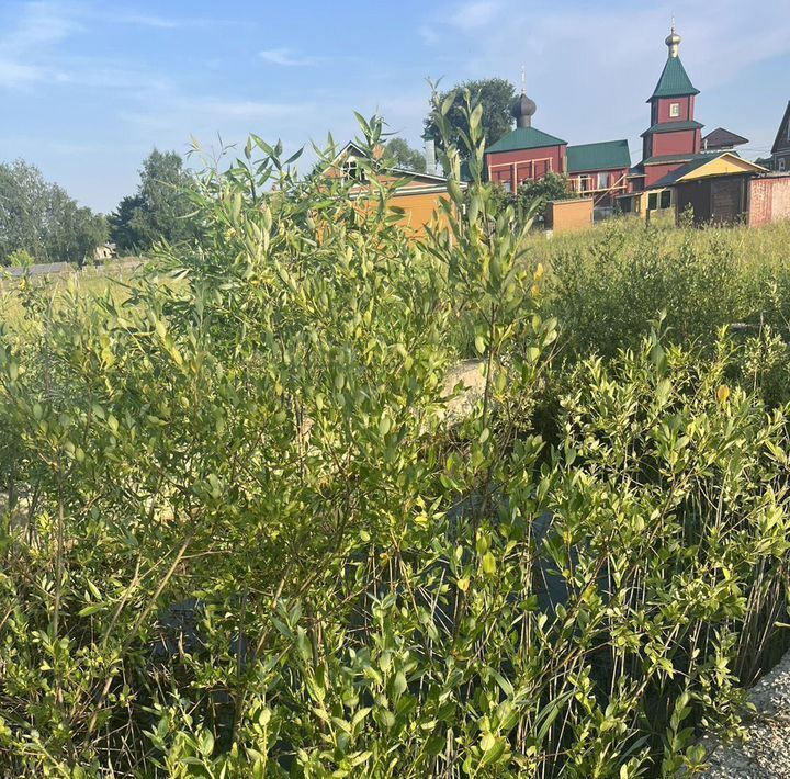 земля городской округ Воскресенск д Ёлкино ул Советская фото 3