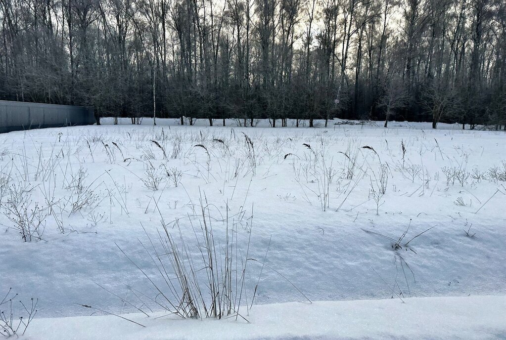 земля городской округ Дмитровский д Сбоево 9 фото 7