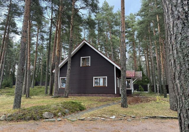 Трасса Скандинавия, 82 км, Советское городское поселение, городской пос. Советский фото