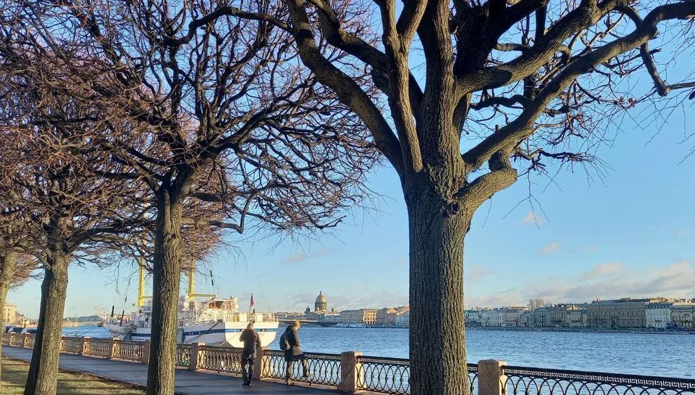 квартира г Санкт-Петербург метро Василеостровская просп. Большой Васильевского острова, 63/17 фото 32