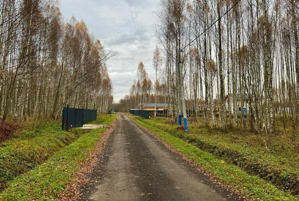 земля городской округ Солнечногорск д Татищево фото 29