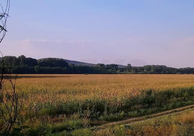 земля Смоленское сельское поселение, ул. 20-й Горной Стрелковой Дивизии, 2 фото