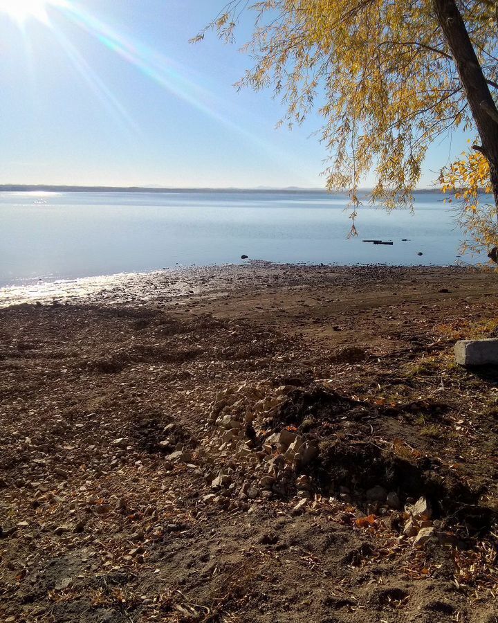 земля р-н Третьяковский с Староалейское Староалейский сельсовет фото 1