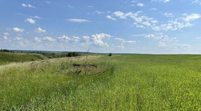 Варыпаевский сельсовет фото