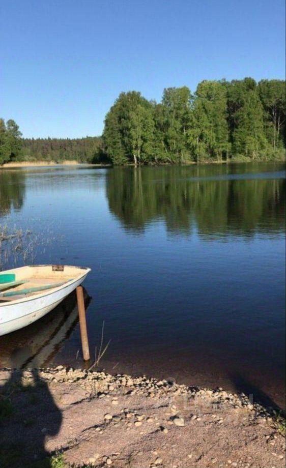 земля р-н Приозерский п Кузнечное Мельниковское сельское поселение, Берёзовая улица фото 2