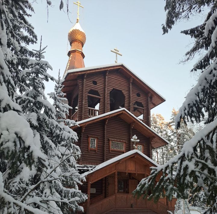 дом р-н Гатчинский Вырица городской поселок, ул. Лейтенанта Шмидта, 6 фото 3