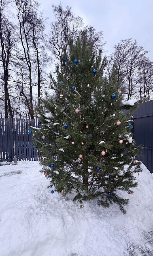 дом городской округ Ленинский с Остров ул Преображенская 130 5 км, Дзержинский, Новорязанское шоссе фото 15