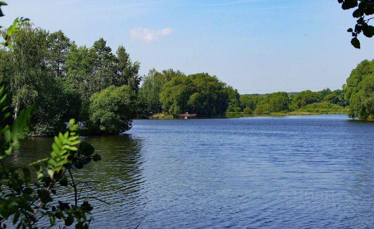 земля городской округ Раменский Великие Озера кп, аллея Победы, Павелецкая фото 3