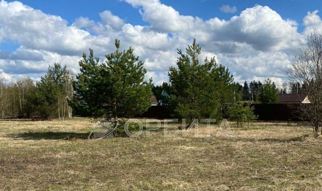 земля г Тюмень р-н Центральный снт Малинка ул Нагорная Центральный административный округ фото 3