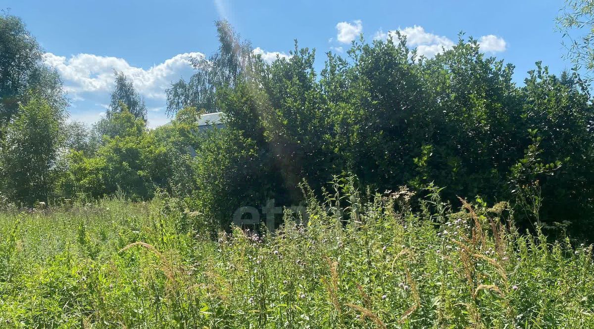 земля городской округ Одинцовский д Синьково 69, Импульс садовое товарищество фото 4