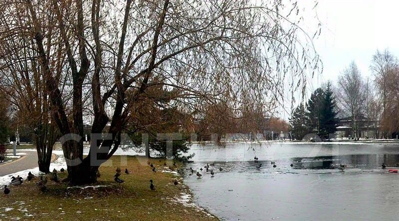 дом городской округ Истра д Покровское Нахабино, ул. Школьная, 2 фото 14