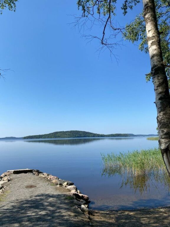 дом р-н Питкярантский д Рауталахти ул Западная д. 5 фото 39