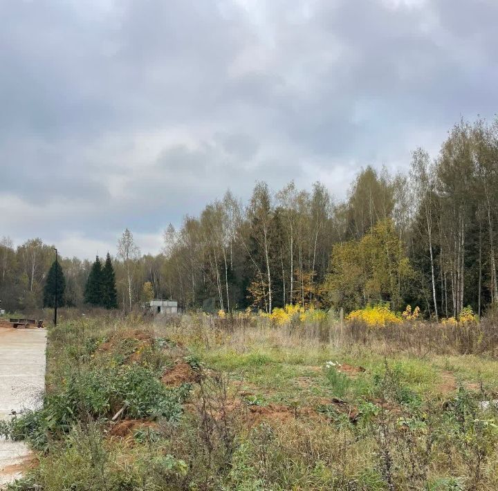 земля городской округ Мытищи д Юрьево ул 2-я Рыбацкая Лобня фото 5