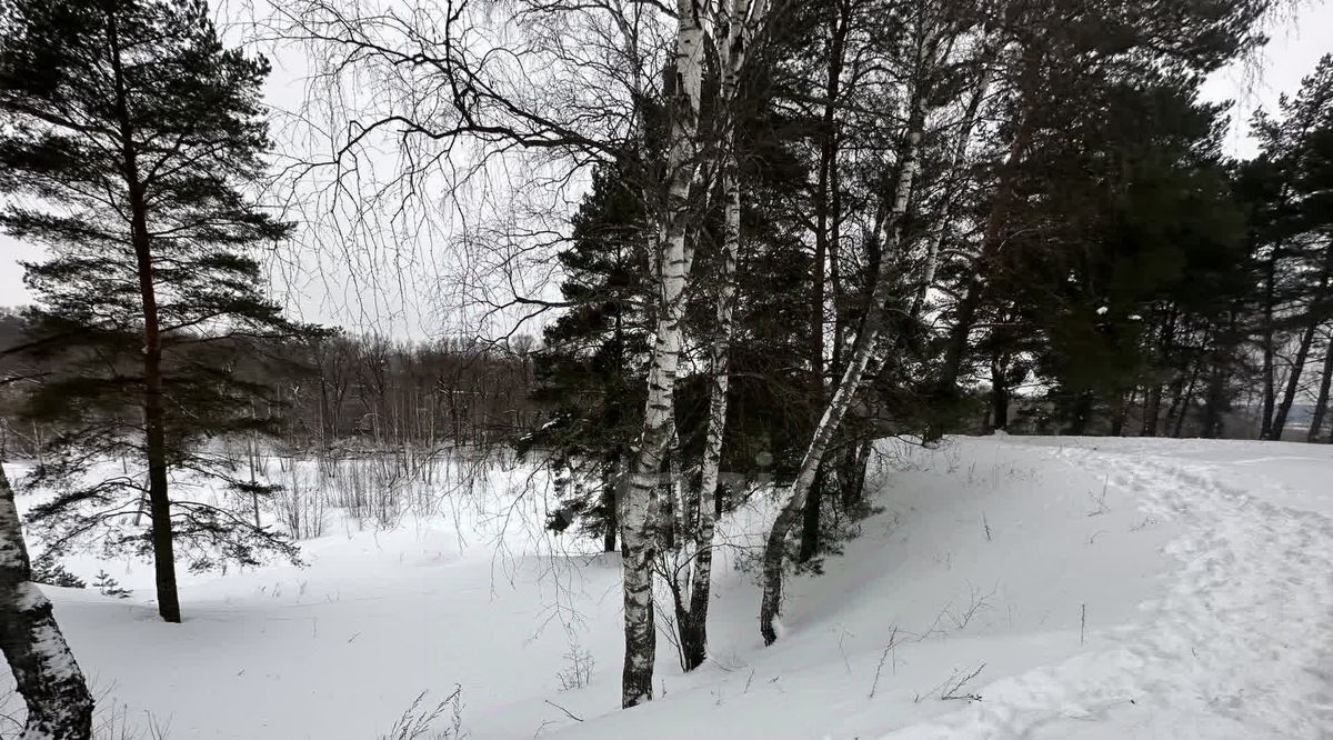 земля городской округ Истра д Лешково Нахабино фото 22