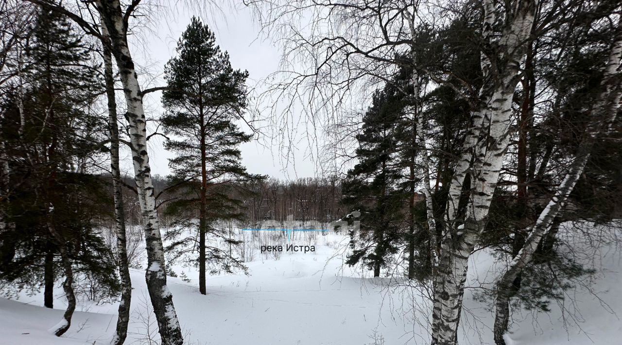 земля городской округ Истра д Лешково Нахабино фото 23