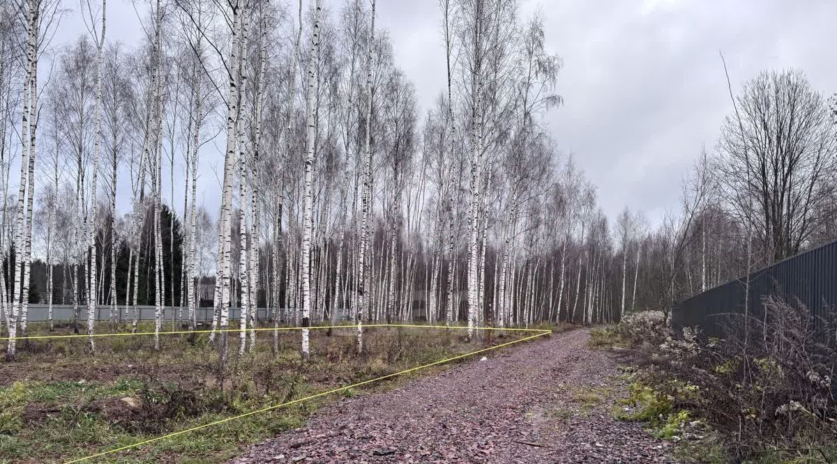 земля г Жуковский снт Кристалл плюс Крёкшино, 14, Москва фото 5