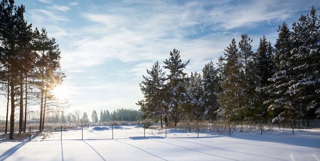 земля городской округ Подольск 24 км, д. Пузиково, Симферопольское шоссе фото 1