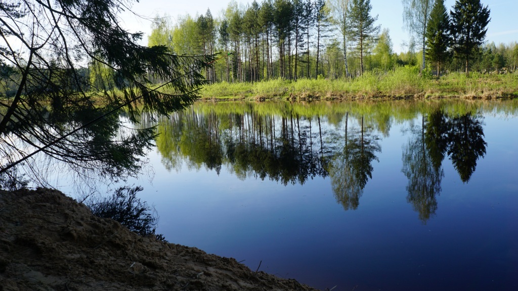 гостиницу р-н Калининский д Орша Тверь фото 14