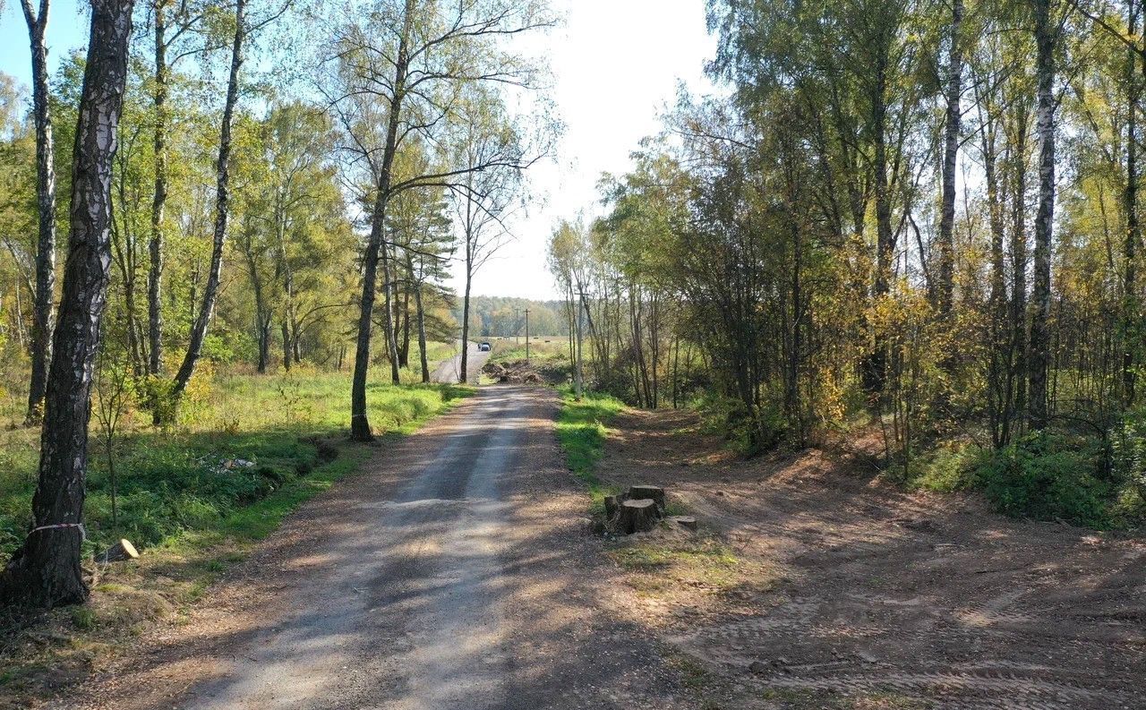 земля городской округ Богородский д Кутузово 26 км, 8А, г. о. Домодедово, Новокаширское шоссе фото 3