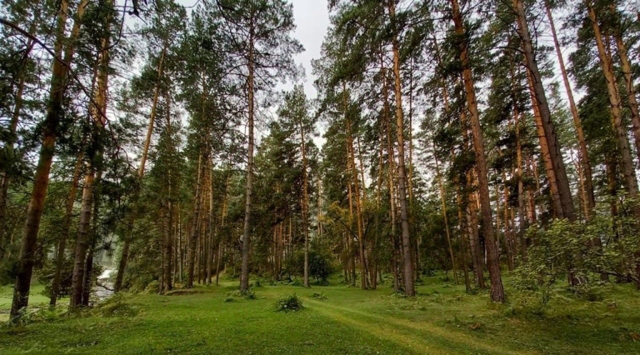 свободного назначения р-н Чемальский с Чепош ул Трактовая фото 8