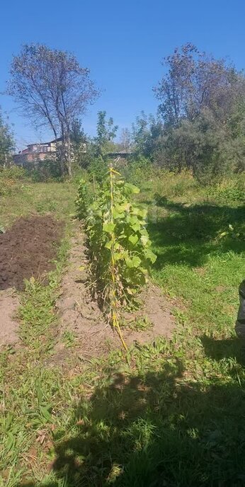 дом р-н Хабаровский садоводческое некоммерческое товарищество Товарищ фото 2