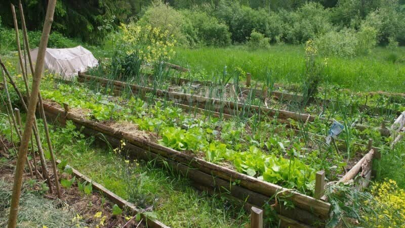 дом р-н Хабаровский садоводческое некоммерческое товарищество Товарищ фото 6