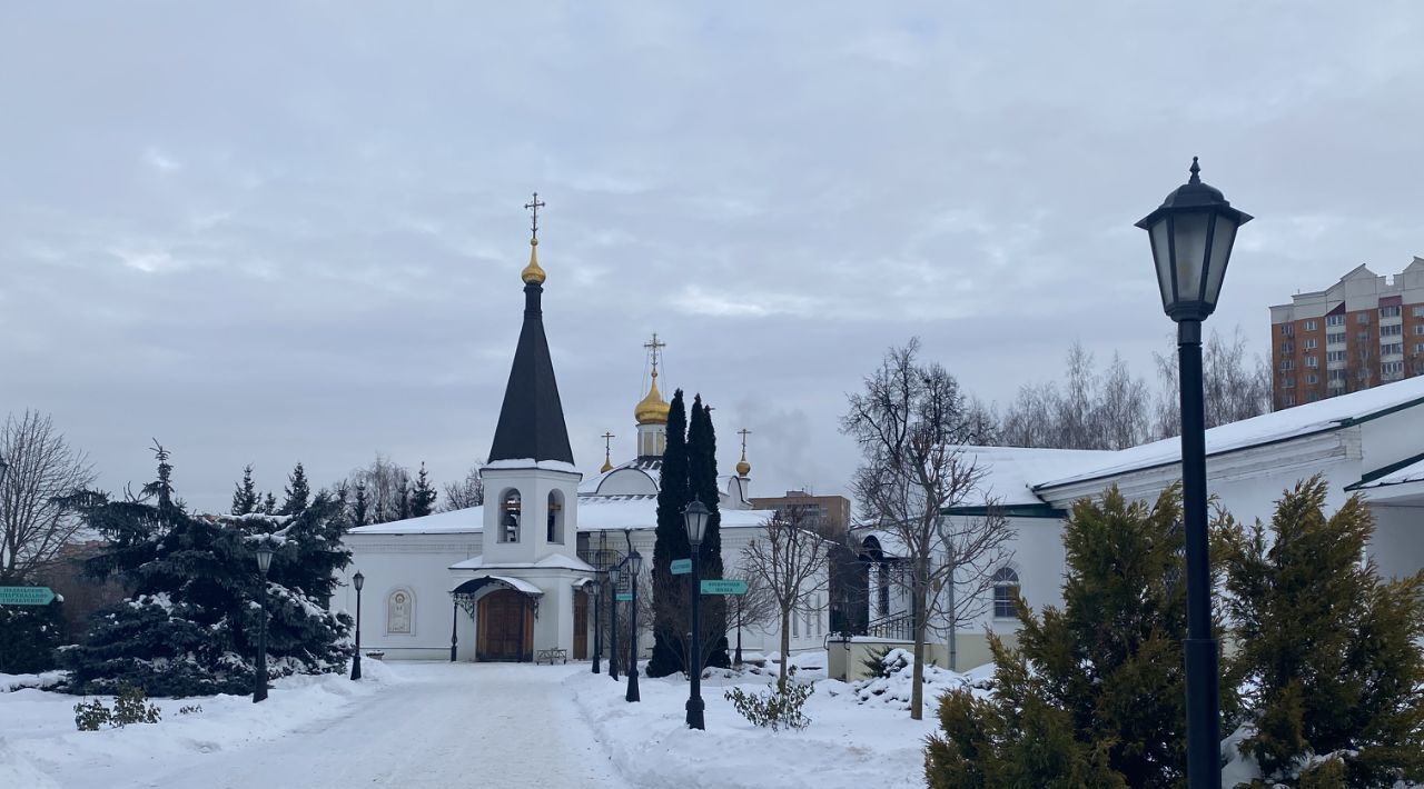 квартира г Подольск ул Красная 22 Подольск фото 35