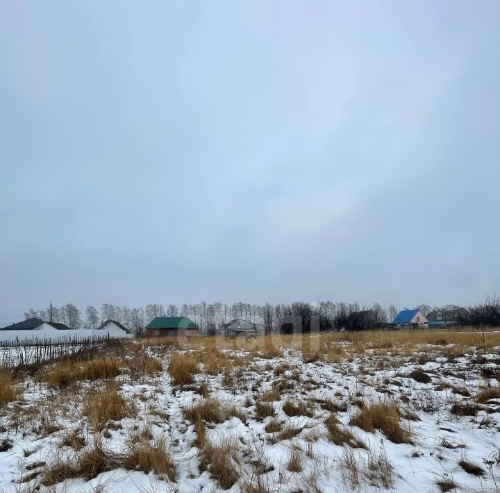 земля р-н Старооскольский с Озерки пер Подлесный Старооскольский городской округ фото 4