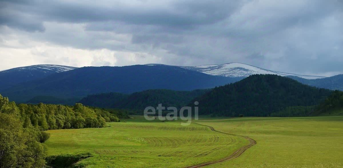 земля р-н Алтайский с Алтайское ул Заречная фото 3