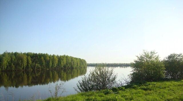 земля п Глажево Глажевское с/пос фото