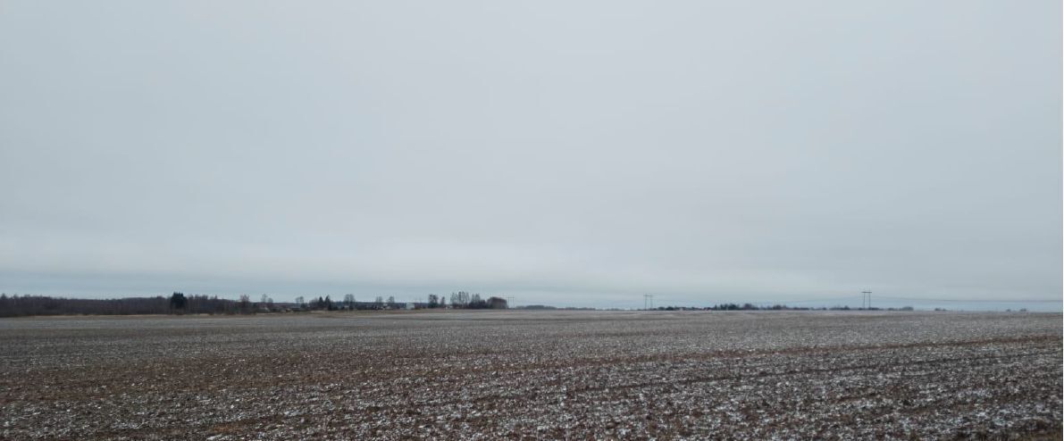 офис городской округ Дмитровский д Трехденево фото 1