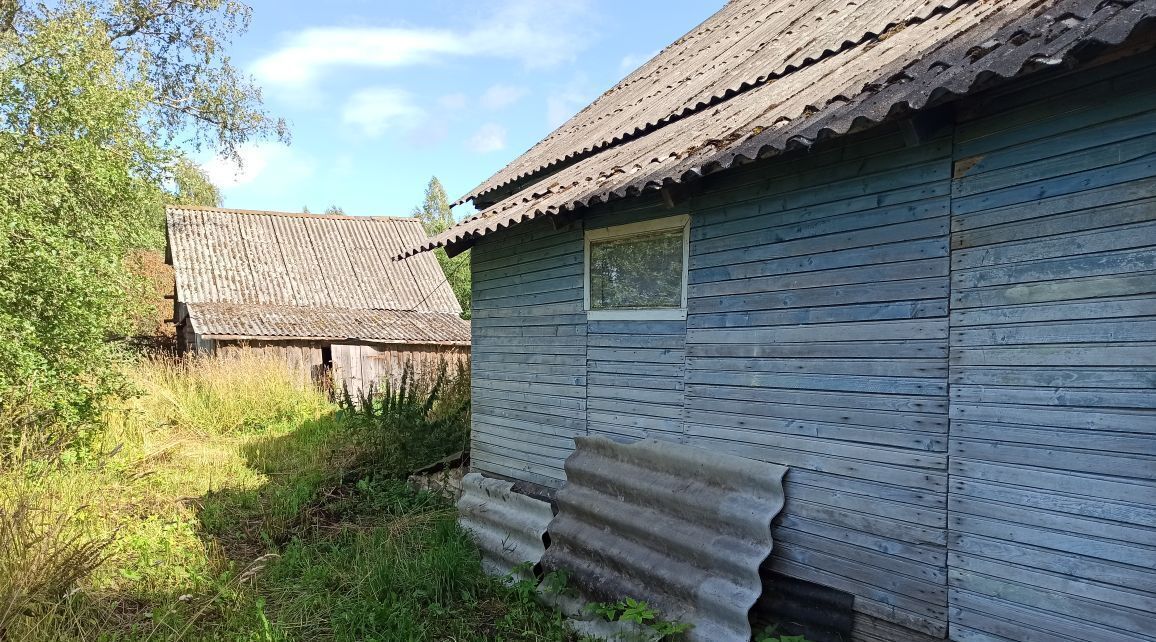 дом р-н Порховский д Пещивицы Славковская волость фото 3