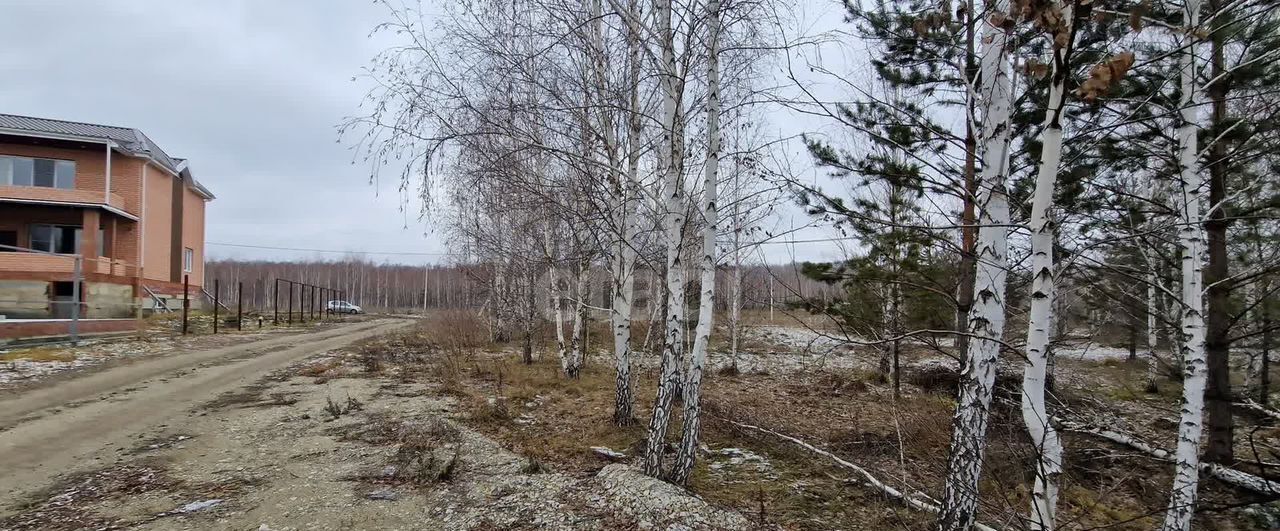 земля р-н Чебаркульский с Травники Травниковское сельское поселение, Чебаркуль фото 7