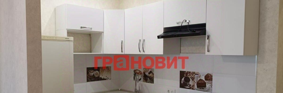 квартира г Новосибирск ул Виктора Уса 4 Площадь Маркса фото 13