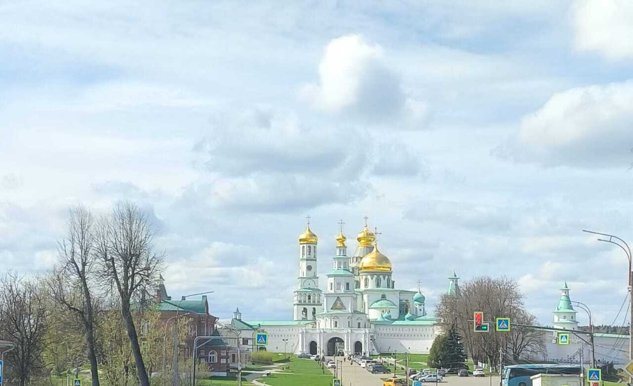 земля городской округ Истра д Синево фото 2