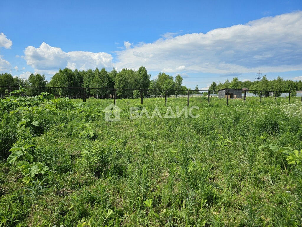 земля Соколово д. Владимирская ул, Соколово д. фото 1