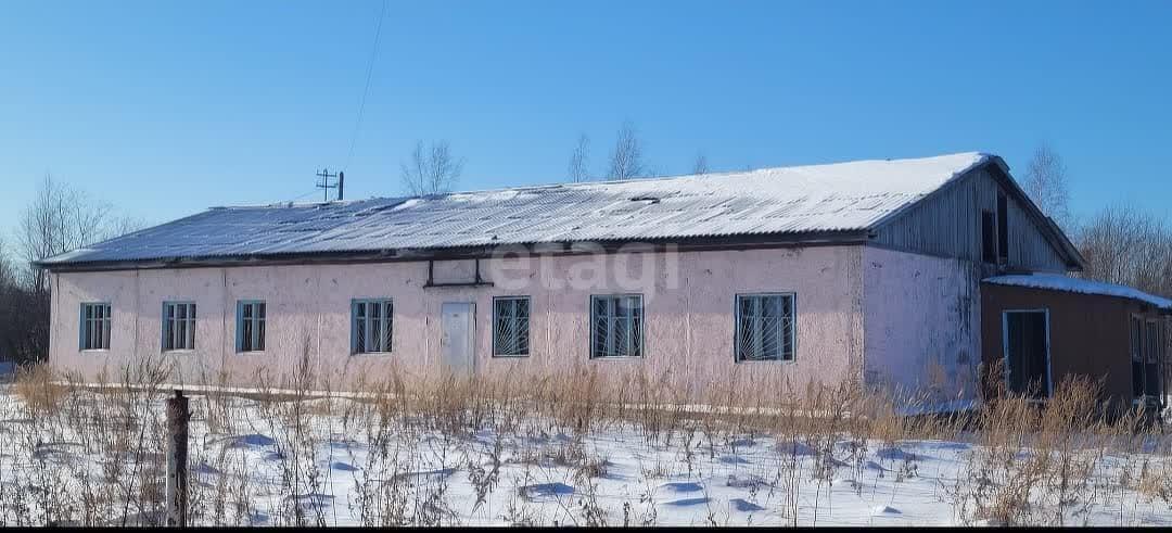 дом г Комсомольск-на-Амуре р-н Новый ул Лесная 31а сельское поселение Село Новый Мир, Мир фото 2