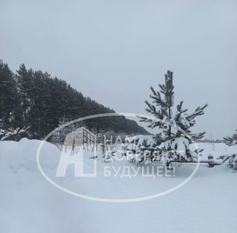 р-н Чернушинский с Сульмаш фото