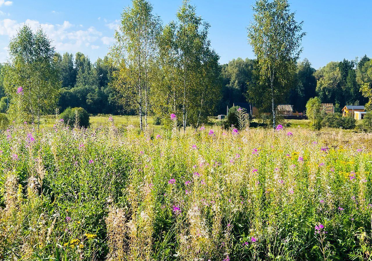 земля городской округ Дмитровский рп Деденево 39 км, коттеджный пос. Ассаурово, Дмитровское шоссе фото 8